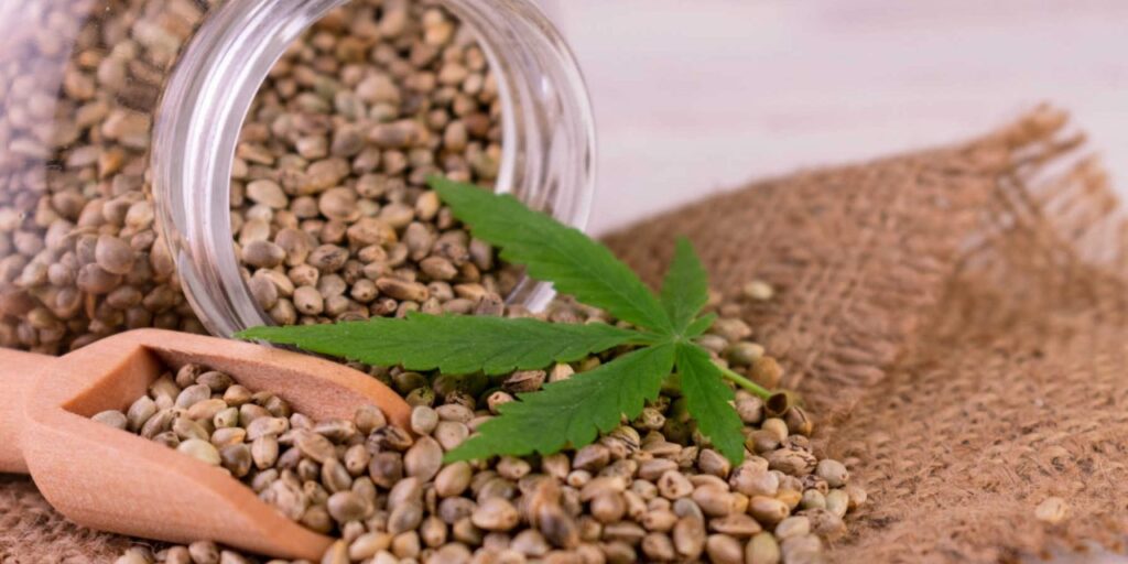 High CBD Seeds