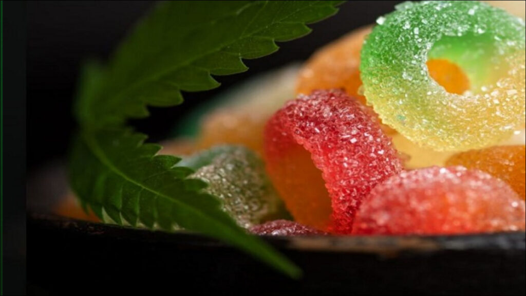 CBD Gummies