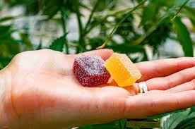 CBD Gummies and Drug Tests